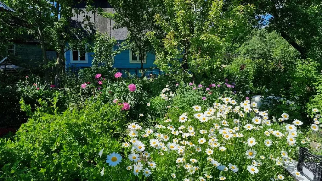 Дом в Нижегородская область, Нижний Новгород Красный Кожевник СНТ, 93 ... - Фото 0