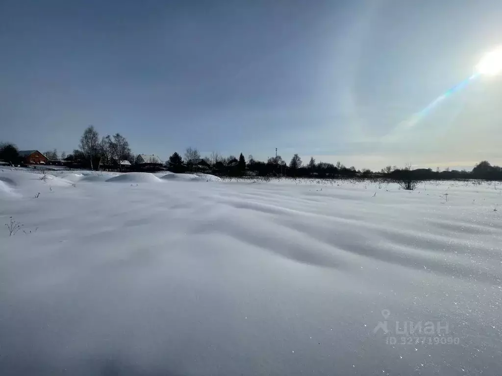 Участок в Московская область, Ступино городской округ, с. Васильевское ... - Фото 2