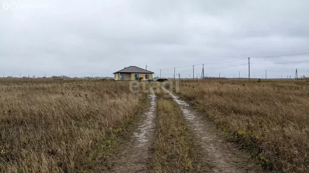 Участок в Тукаевский район, Малошильнинское сельское поселение, село ... - Фото 0