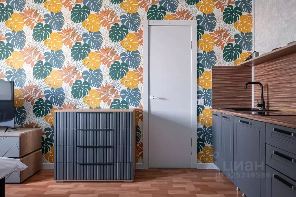 Студия Санкт-Петербург ул. Ефимова, 1/4 (20.0 м) - Фото 1