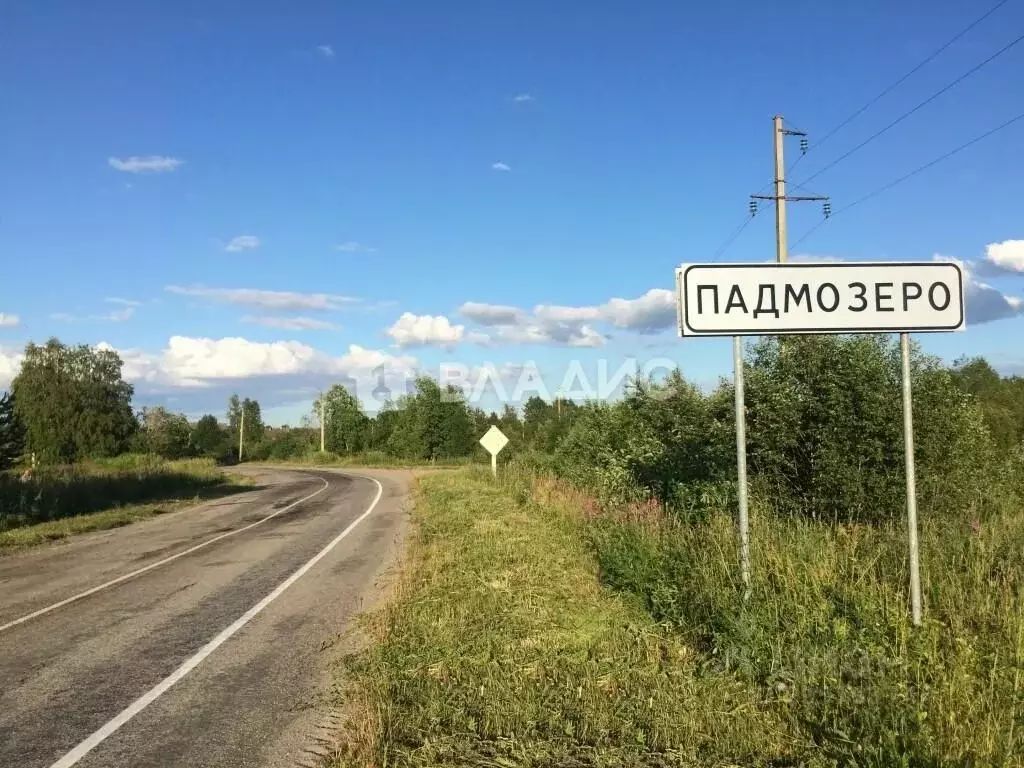 Участок в Карелия, Медвежьегорский район, Толвуйское с/пос, д. ... - Фото 1