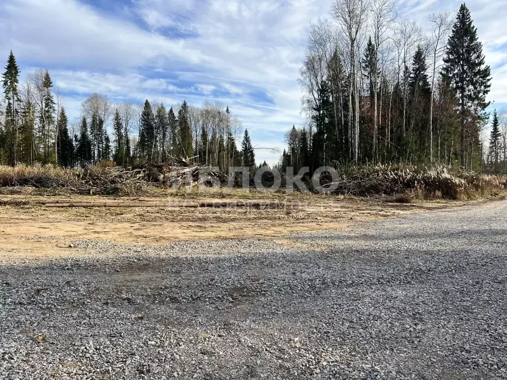 Участок в Пермский край, Березники ул. Юрия Маркова (9.0 сот.) - Фото 0