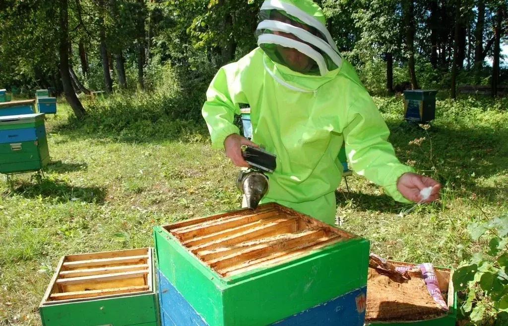 Участок в Тульская область, Заокский район, Страховское с/пос, д. ... - Фото 1