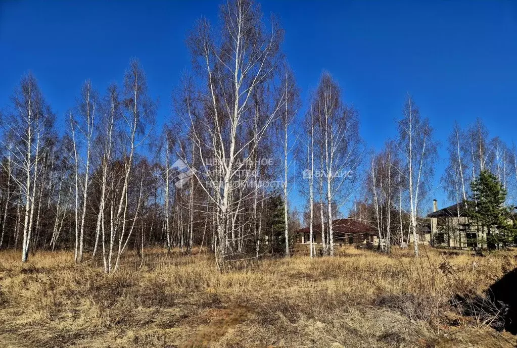 Участок в Рязанская область, Рязанский район, Дубровическое с/пос, с. ... - Фото 1