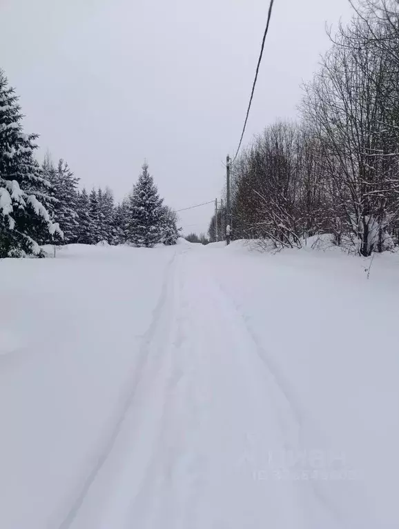 Участок в Пермский край, Краснокамский муниципальный округ, д. Хухрята ... - Фото 1