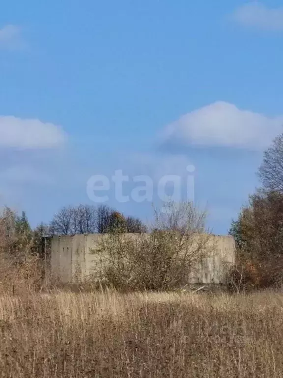 Помещение свободного назначения в Тульская область, Кимовский район, ... - Фото 2