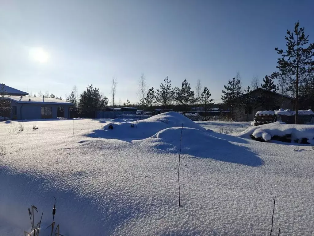 Участок в Ленинградская область, Гатчинский муниципальный округ, Свое ... - Фото 2