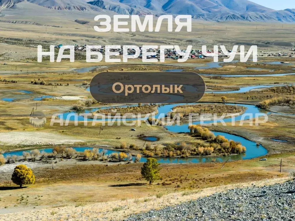 Участок в Алтай, Кош-Агачский район, с. Ортолык ул. Кокышева (10.0 ... - Фото 1