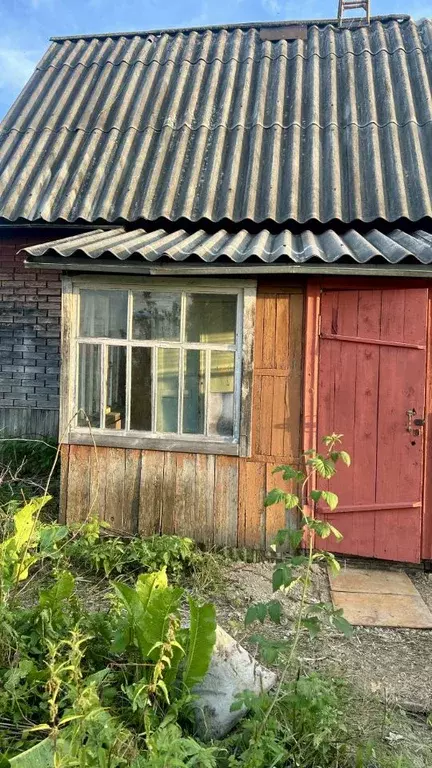 Дом в Новосибирская область, Коченевский район, Березка СНТ ул. ... - Фото 1