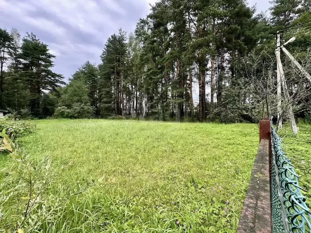 Участок в Московская область, Клин городской округ, Ромашка садовое ... - Фото 1