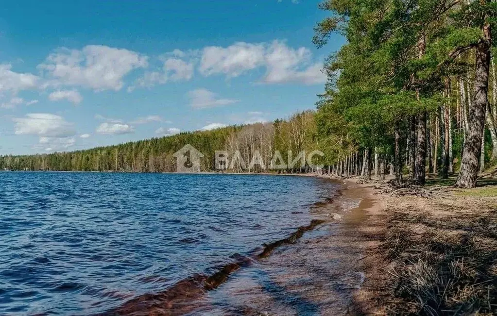 Участок, 13.3 сот., сельхоз (снт или днп) - Фото 1