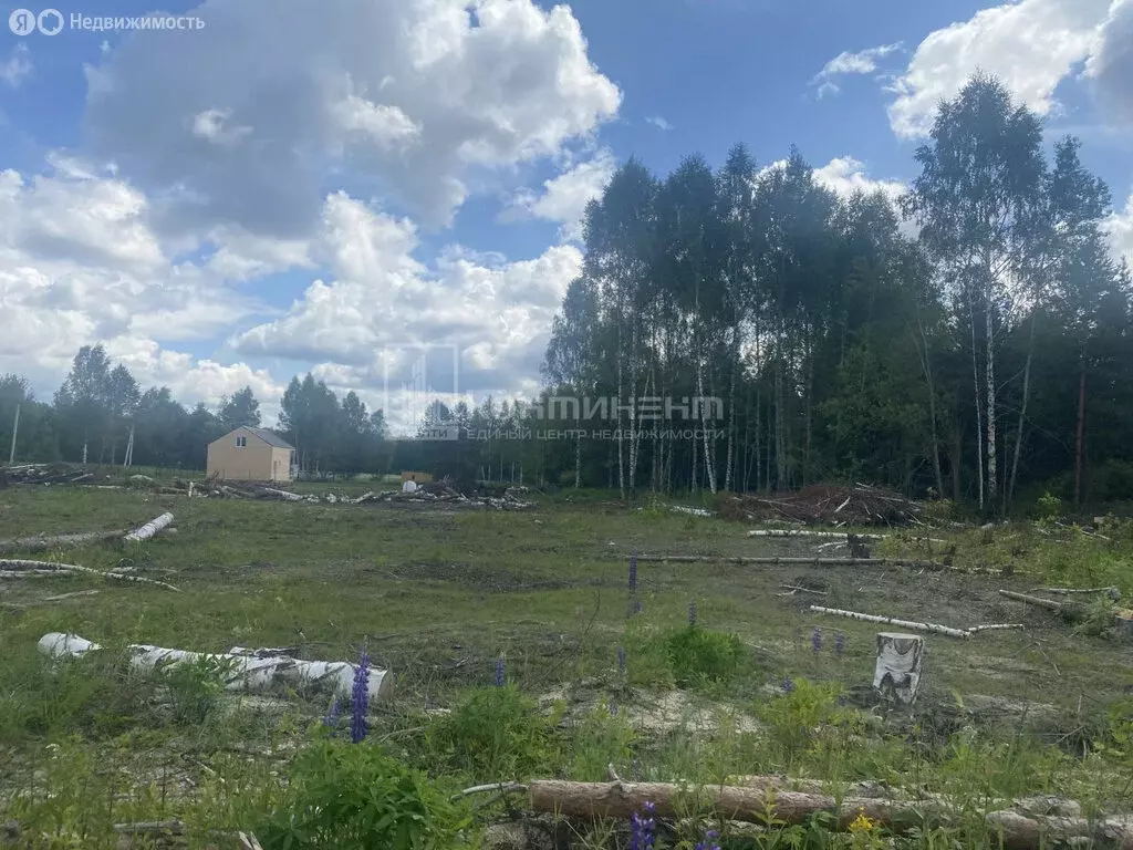 Участок в муниципальное образование Новосельское, село Любец (18.6 м) - Фото 0