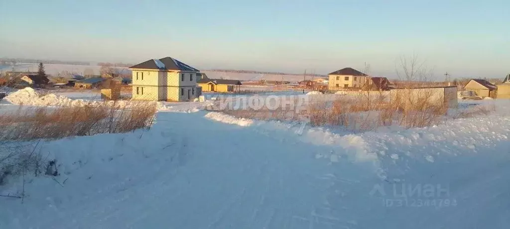 Участок в Алтайский край, Павловский район, с. Шахи ул. Вишневая (15.0 ... - Фото 0