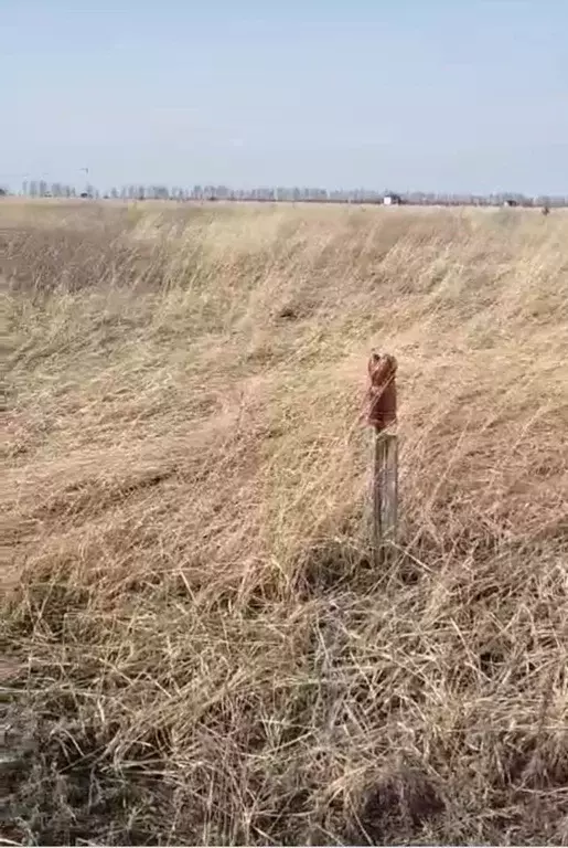 Участок в Тамбовская область, Тамбов ул. Челнавская (7.18 сот.) - Фото 1