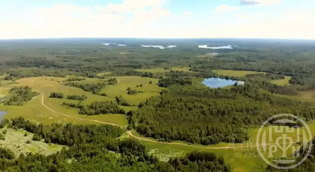 Участок в Псковская область, Опочецкий муниципальный округ, д. ... - Фото 2