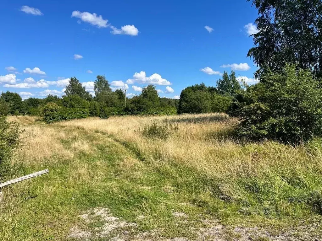 Участок в Калининградская область, Багратионовский муниципальный ... - Фото 2