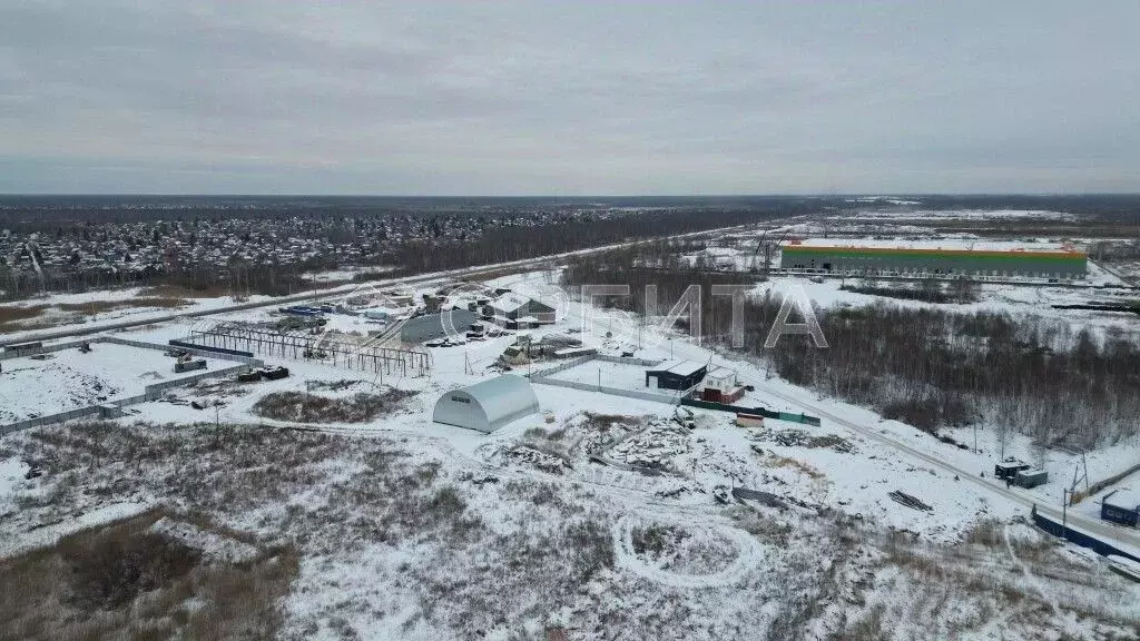 Участок в Тюменская область, Тюмень Велижанский тракт, 7-й км (710.0 ... - Фото 2