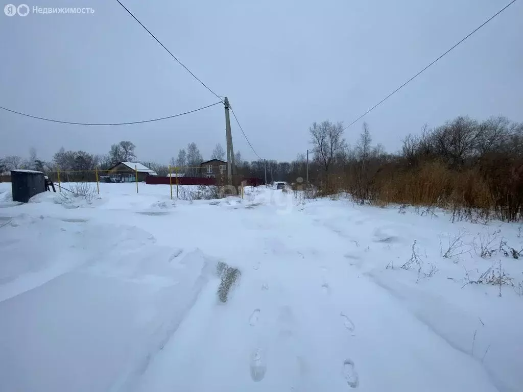 Участок в Хабаровский район, Тополевское сельское поселение, село ... - Фото 1