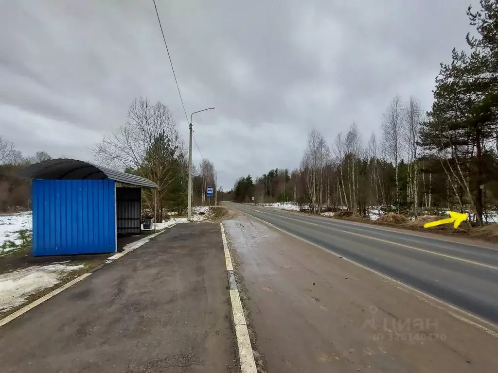 Участок в Псковская область, Псковский район, Тямшанская волость, д. ... - Фото 2