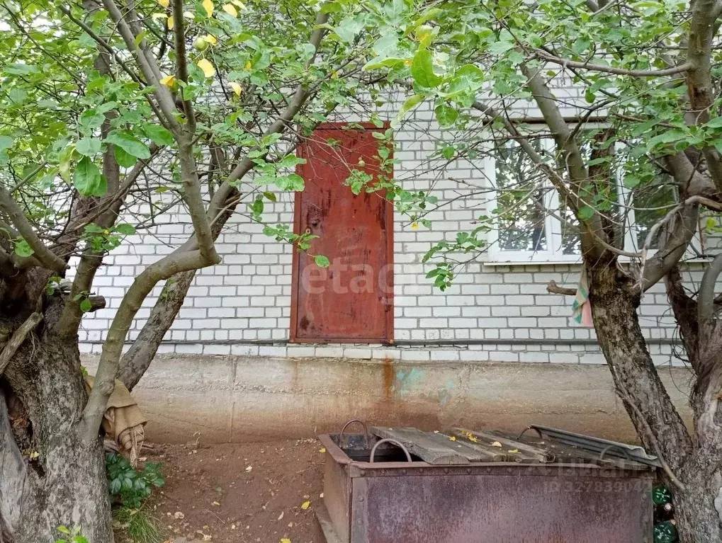 Дом в Липецкая область, Липецкий муниципальный округ, с. Сырское ул. ... - Фото 1