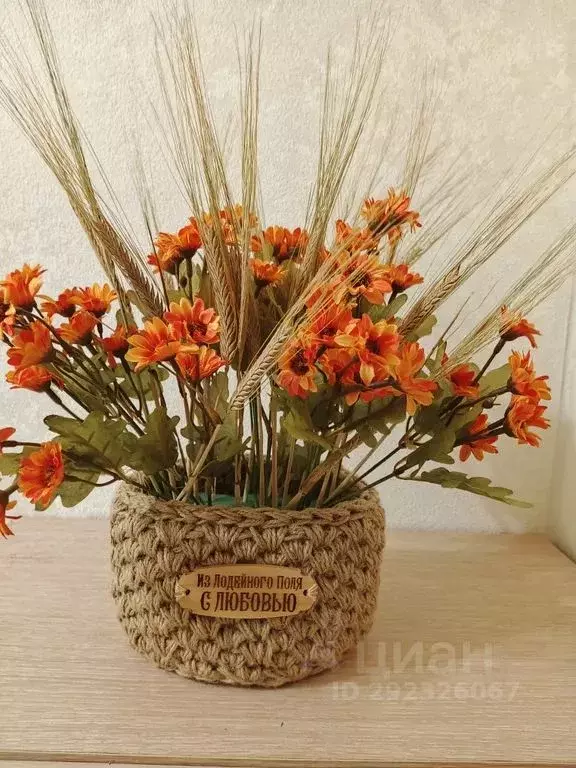 1-к кв. Ленинградская область, Лодейное поле просп. В.И. Ленина, 98Б ... - Фото 2