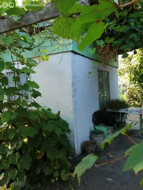 Дом в Амурская область, Благовещенский муниципальный округ, село ... - Фото 2