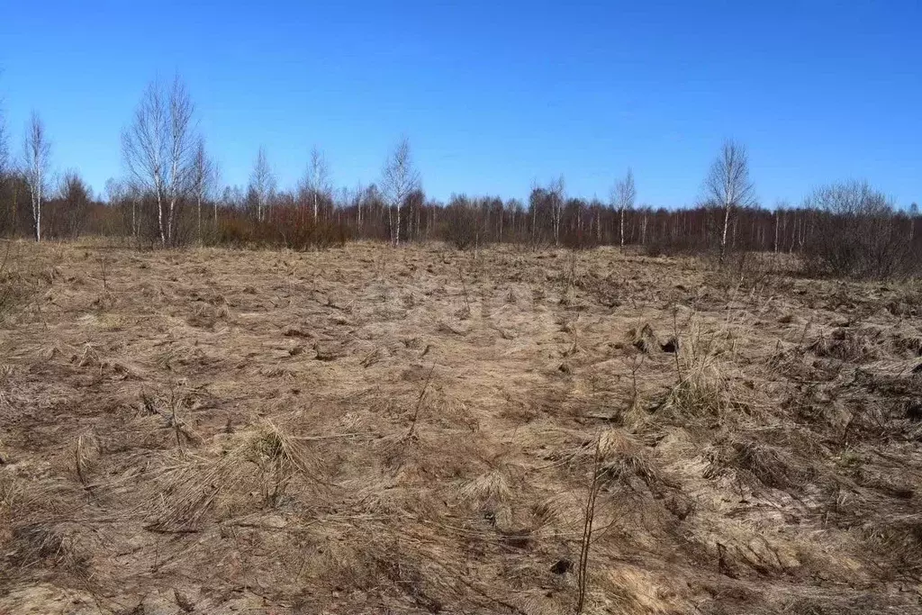 Участок в Ярославская область, Рыбинский муниципальный округ, д. ... - Фото 1
