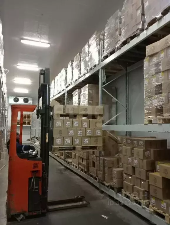 Склад в Мордовия, Саранск Строительная ул., 18Ас3 (240 м) - Фото 1