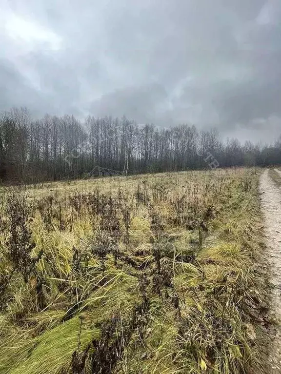 Участок в Калужская область, Калуга городской округ, д. Заречье  (20.0 ... - Фото 0