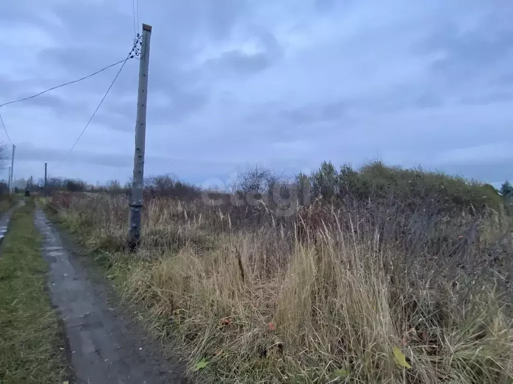 Участок в Костромская область, Кострома Огонек-2 СНТ, 53 (5.0 сот.) - Фото 1