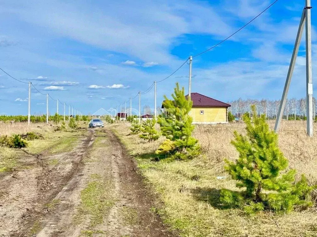 Участок в Тюменская область, Тюменский район, д. Елань, Хвойный кп  ... - Фото 1