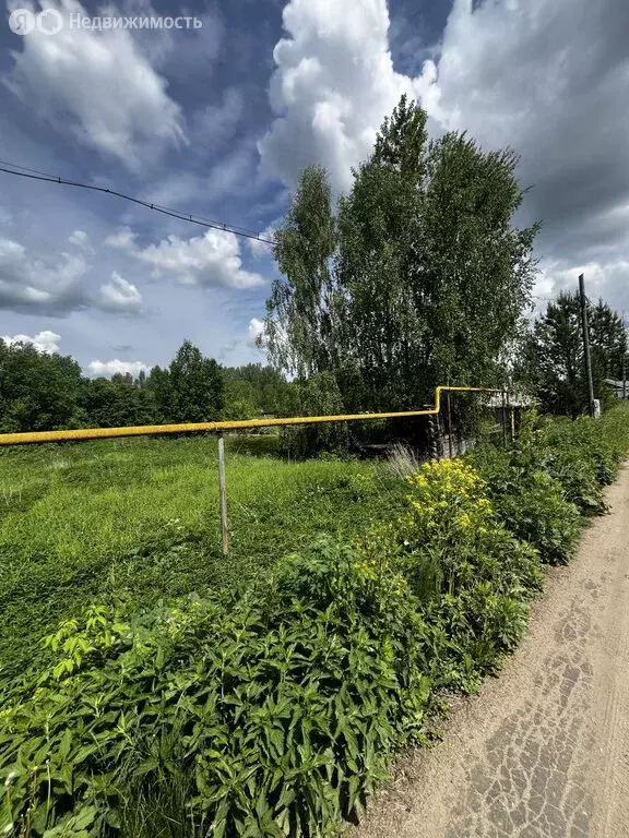 Участок в Нижегородская область, Богородский муниципальный округ, село ... - Фото 1