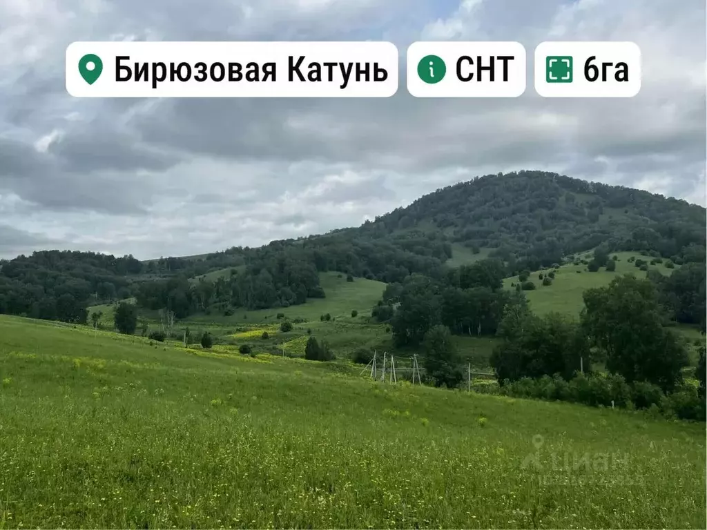 Участок в Алтай, Майминский район, с. Манжерок Ленинская ул. (6.0 ... - Фото 1