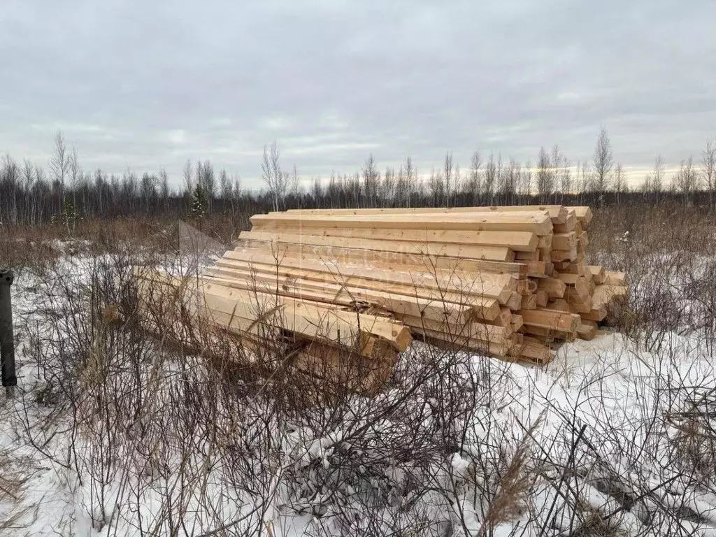 Участок в Тюменская область, Нижнетавдинский район, Сочинские СНТ 7-я ... - Фото 0