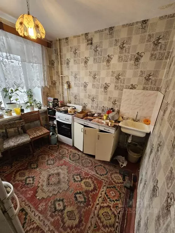 1-к кв. Омская область, Омск ул. Рабиновича, 125 (30.0 м) - Фото 1