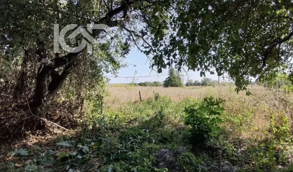 Участок в Воронежская область, Семилукский район, с. Землянск ул. ... - Фото 2