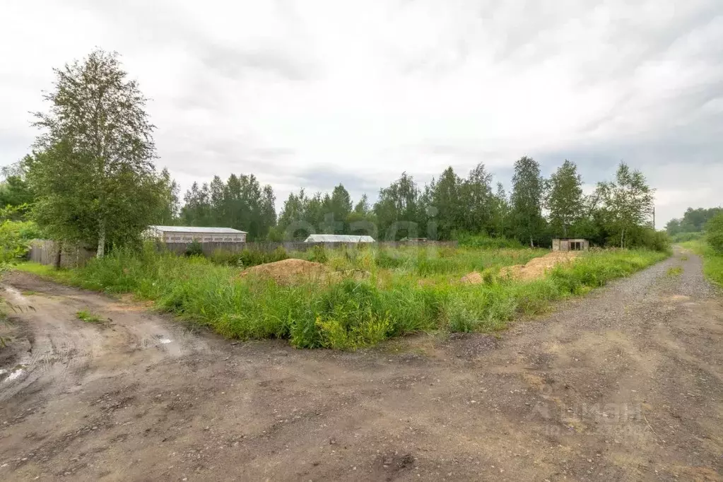 Участок в Тюменская область, Тюмень Лаванда садовое товарищество, ул. ... - Фото 1