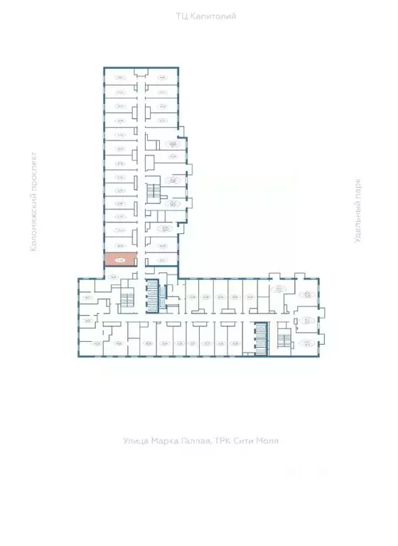 Студия Санкт-Петербург  (21.32 м) - Фото 2