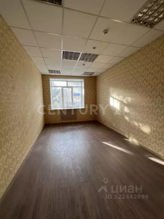 Офис в Липецкая область, Липецк Советская ул., 36 (16 м) - Фото 1