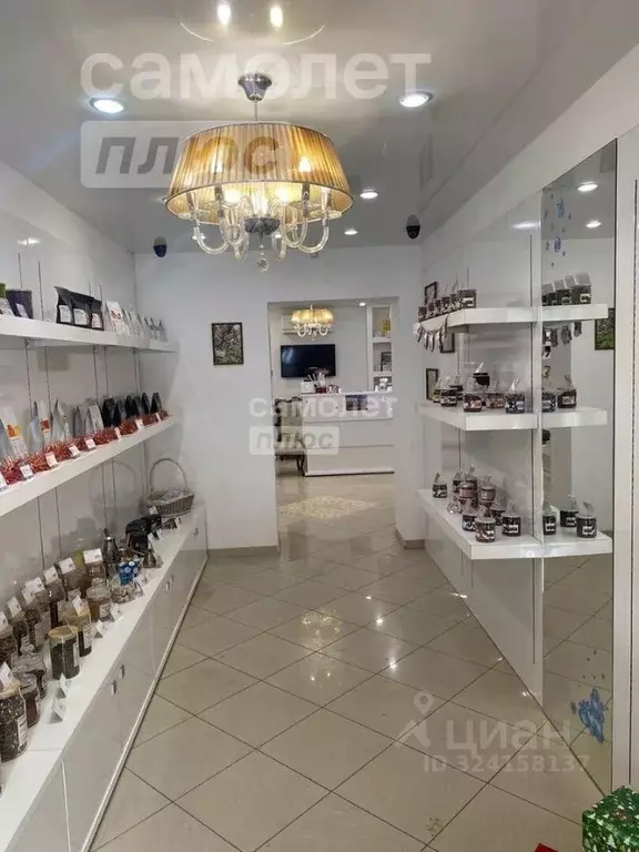 Торговая площадь в Липецкая область, Липецк ул. Гагарина, 30 (43 м) - Фото 1