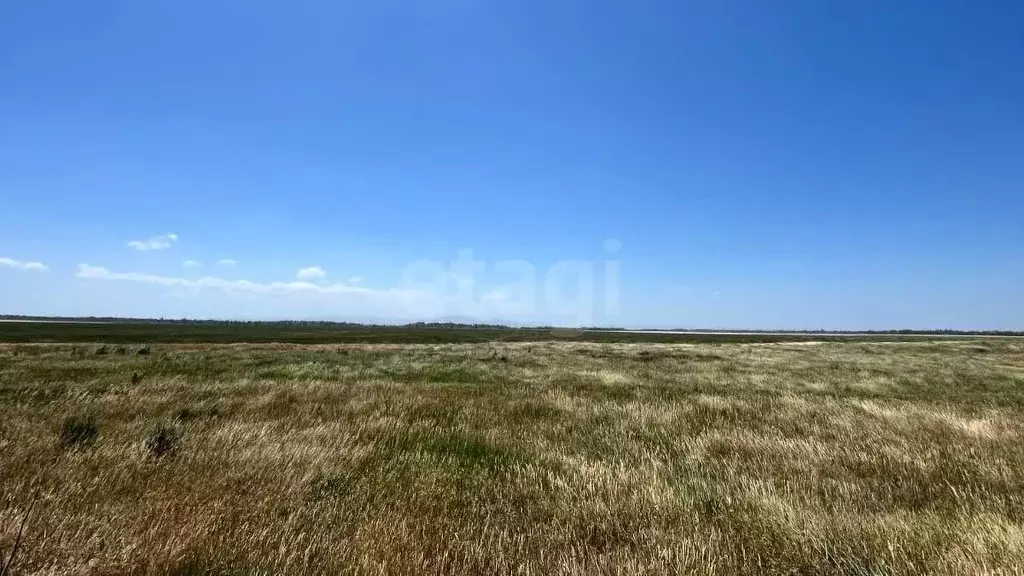 Участок в Крым, Кировский район, с. Синицыно ул. Тельмана (1220.0 ... - Фото 1