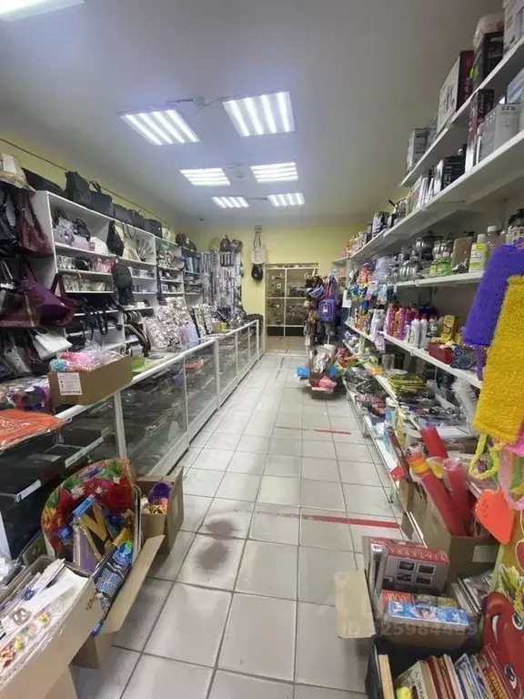 Помещение свободного назначения в Челябинская область, Еманжелинский ... - Фото 1