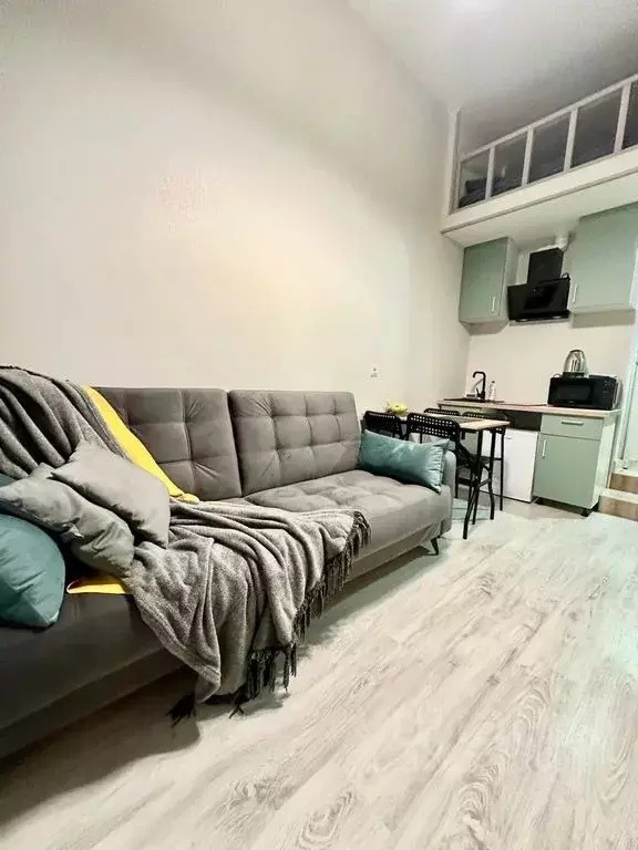 Студия Санкт-Петербург ул. Ефимова, 6 (17.0 м) - Фото 1