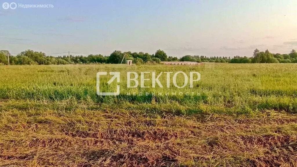 Участок в Кострома, коттеджный посёлок Первый, Губернская улица (13 м) - Фото 2