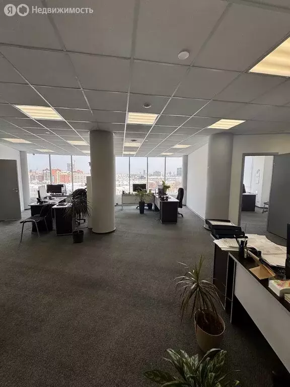 Офис (81.8 м) - Фото 2