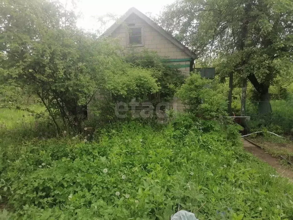 Дом в Курская область, Курск Мир садовое товарищество, 5-й кв-л, 3 (19 ... - Фото 1