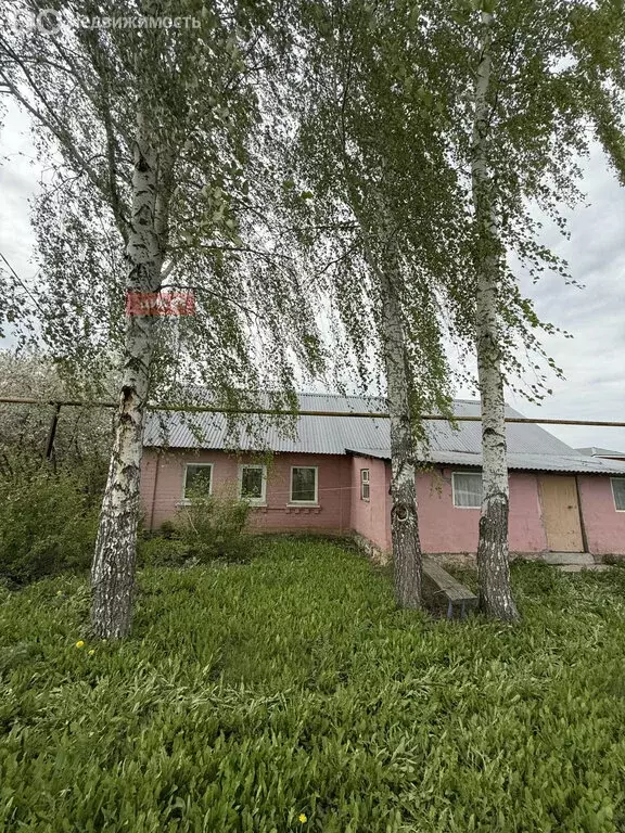Дом в Высокое, Речная улица, 66 (193 м) - Фото 1