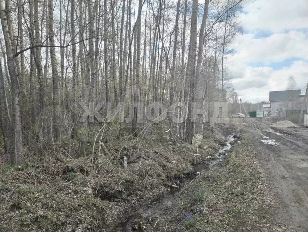 Участок 9 сот. (ИЖС) - Фото 1