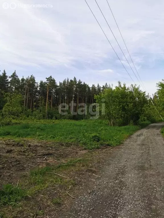 Участок в посёлок Усть-Катунь, Заводская улица (25 м) - Фото 0