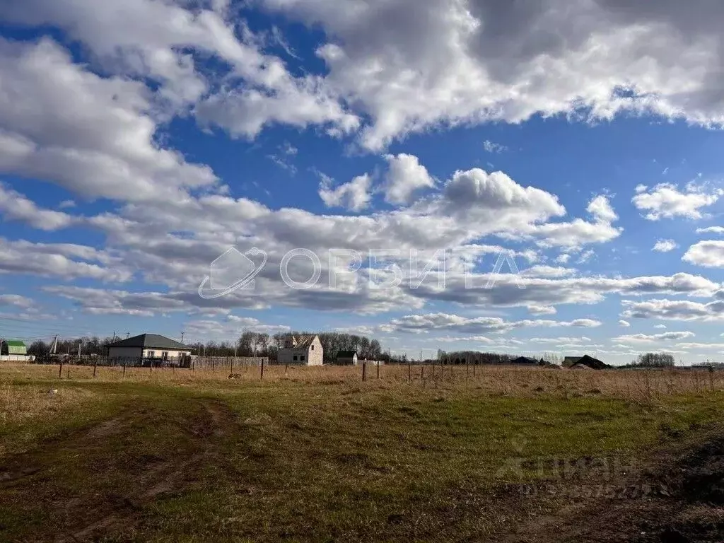 Участок в Тюменская область, Тюменский муниципальный округ, д. Большие ... - Фото 1